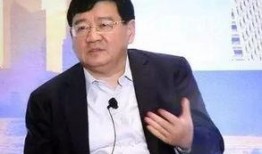 徐小平爆料完整视频大全,真实事件与幕后真相大起底